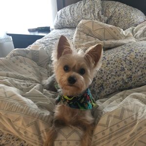 Meet your Posher, Ashley